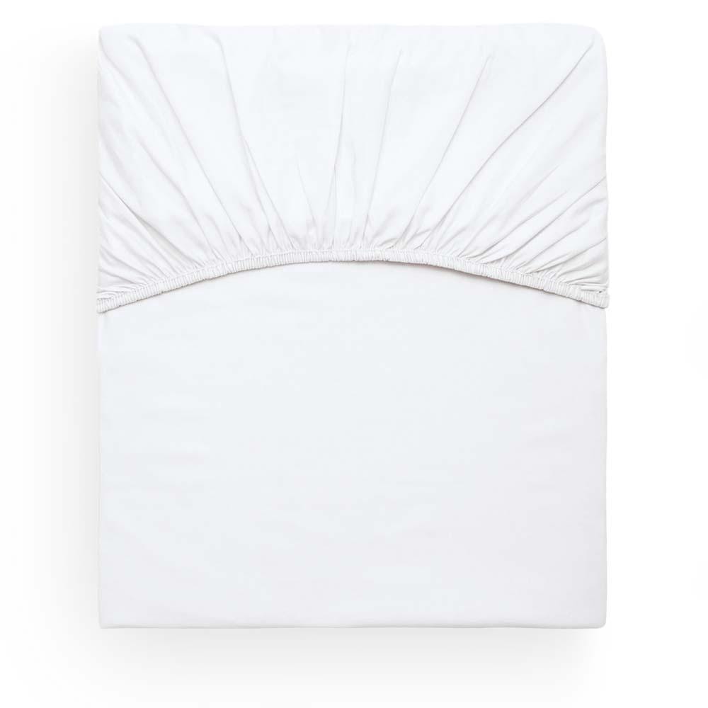 image_7ee717a7-77a6-41f1-ba7c-c18d8de3c808