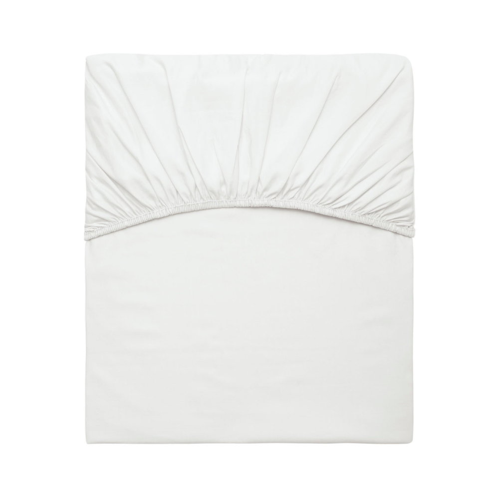 image_42523a10-b364-44d9-bbf3-3b0cfd4236aa