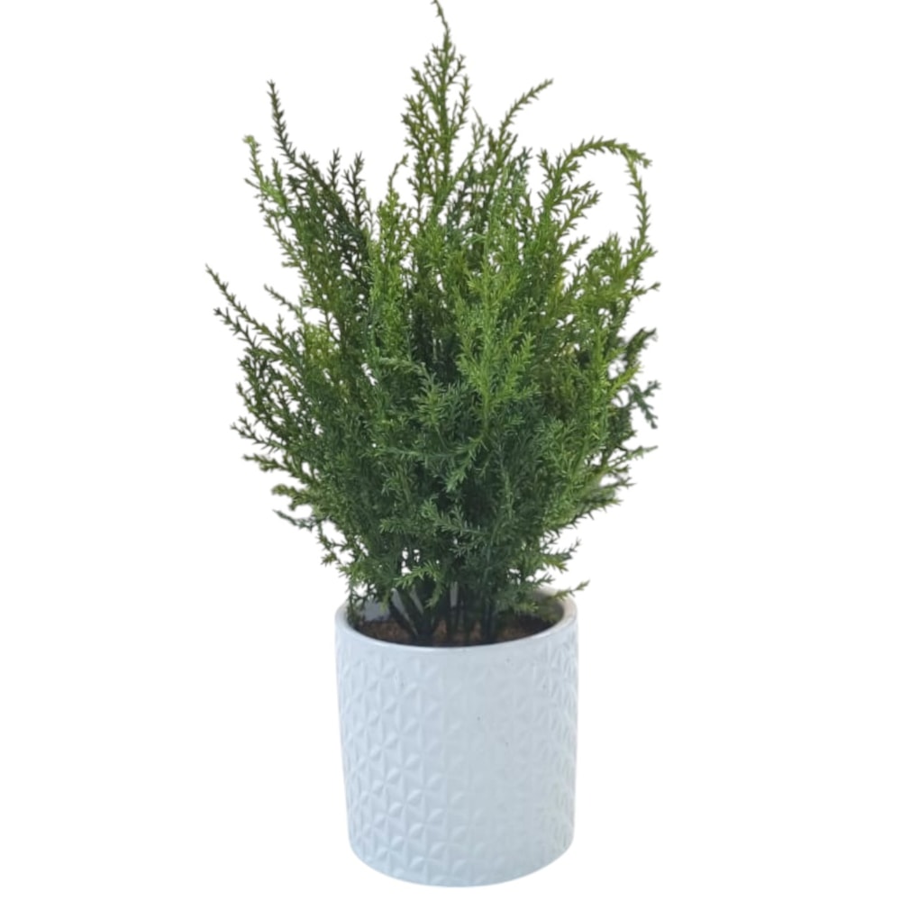 image_855a3be4-ae3e-47a3-88f1-42f064eee2e7