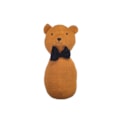 Urso Esqui
