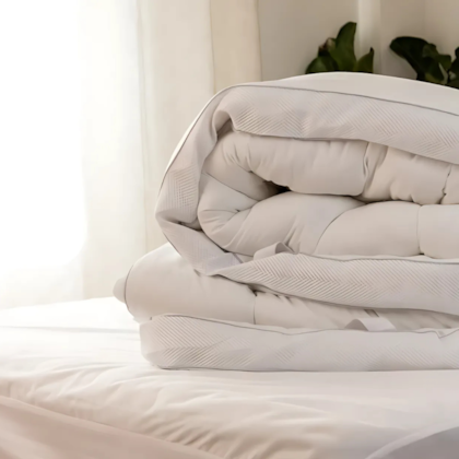 image_0ee13392-9612-44aa-a96a-3585df601047