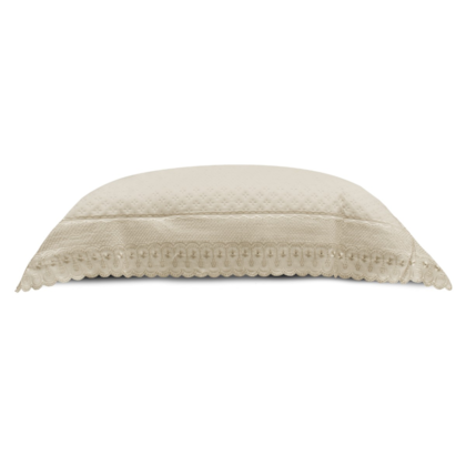 image_ba45e950-353b-49da-b449-b2df226dd904