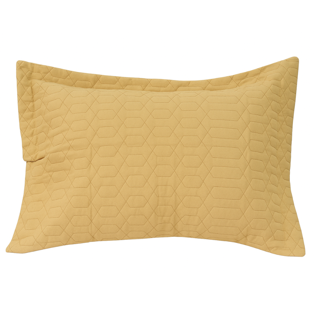 image_15099b77-c247-42f2-bbf0-1b1b72120fe1