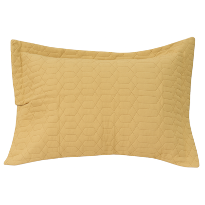 image_a627f550-5e8d-4a72-b86f-bc671f8eb601