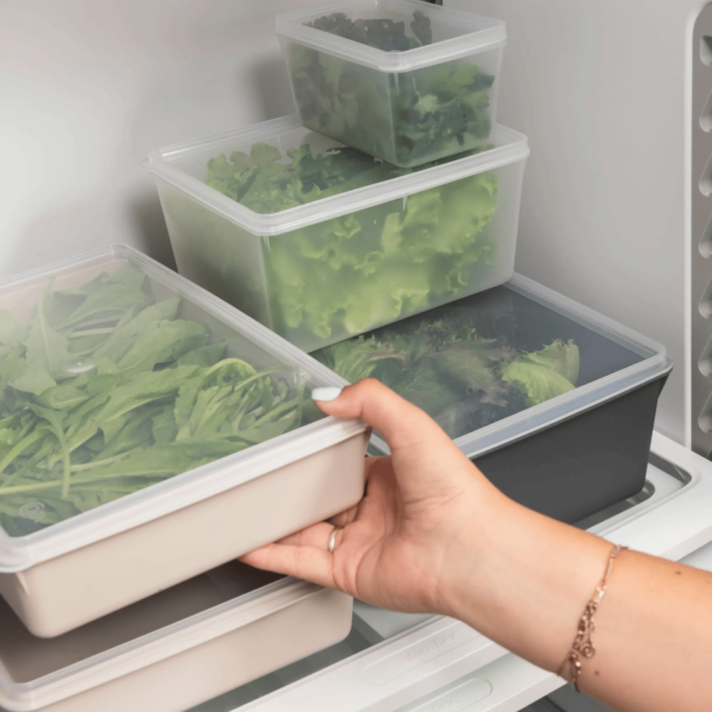 image_98b08219-2d84-4646-8aac-6070bcad5031