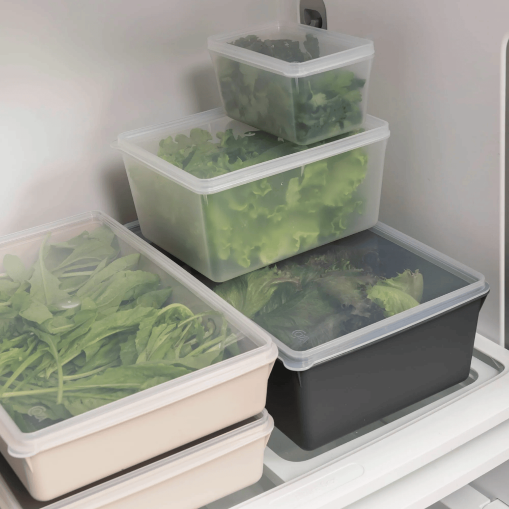 image_fa731280-c151-4950-b222-e723aec8e59e