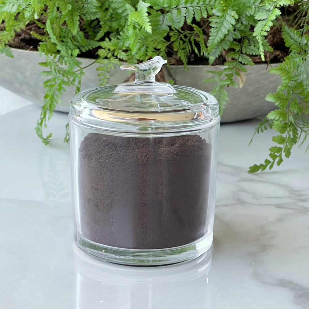 image_07cc37d3-291f-4d57-b85d-dc4e89a0f260