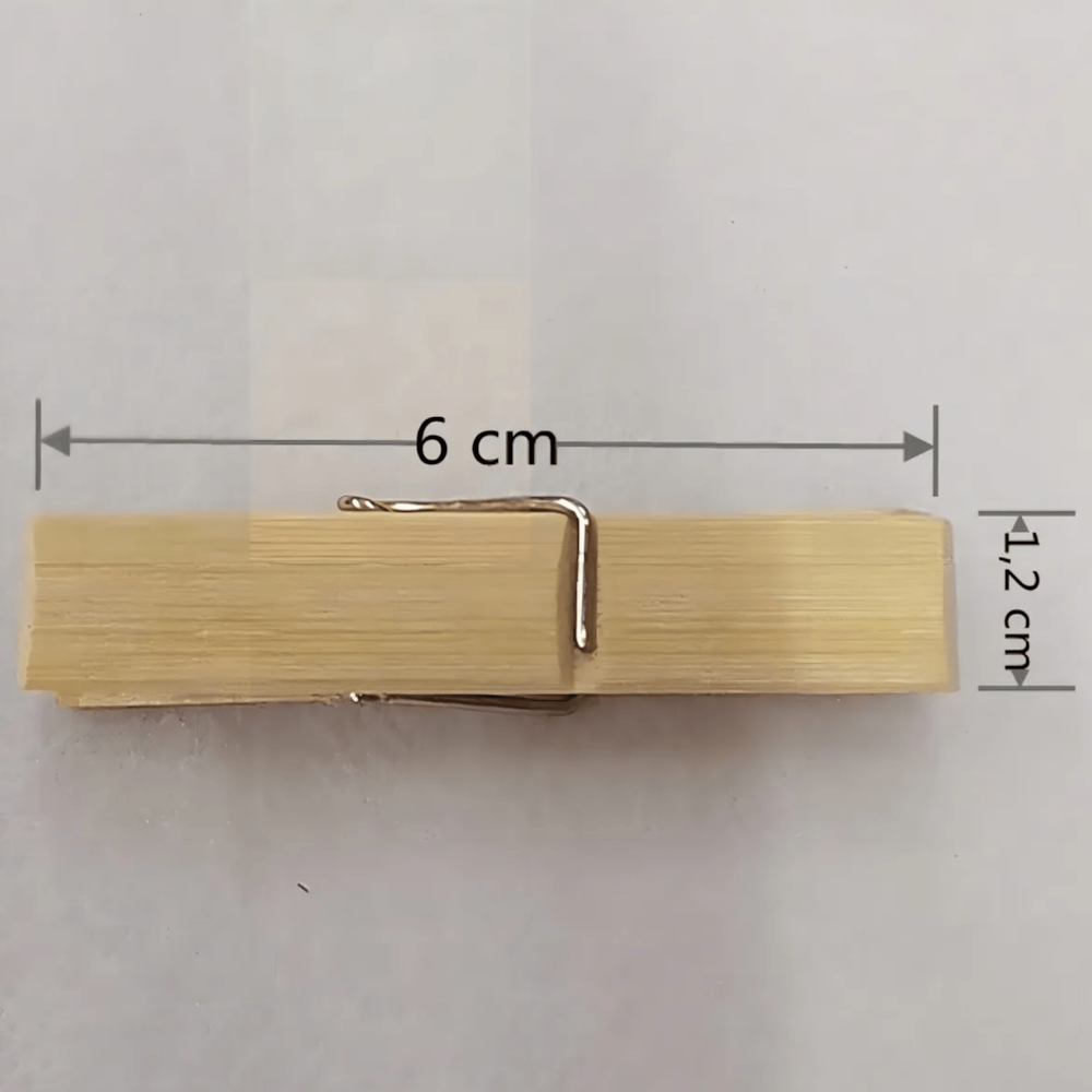 image_d8ac8ee7-3628-4860-9662-38953c4e58a0