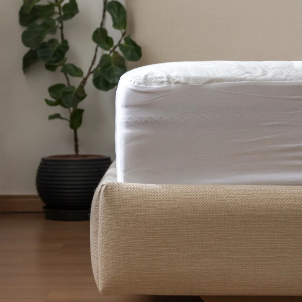 image_6d027fa9-107f-4491-ace9-e07d4338e8ad