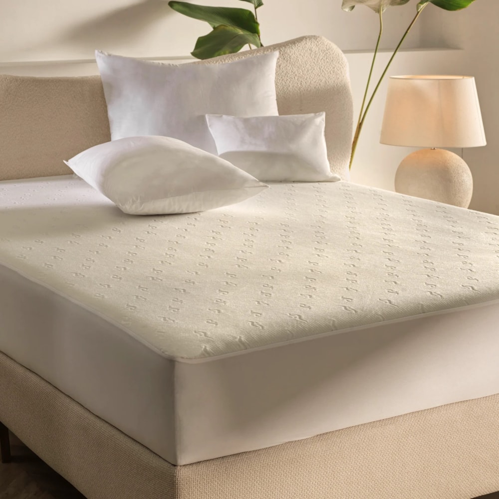 image_bd3835d6-09e6-470f-903f-0c8ba9bb194c