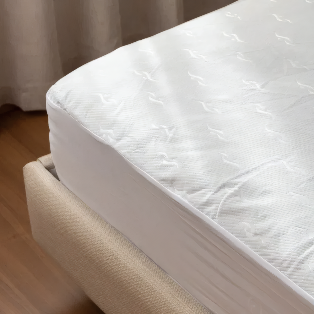 image_cfa1a0ff-a613-4fdc-96fa-0401b824b184