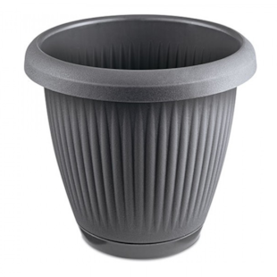 Imagem de Produto