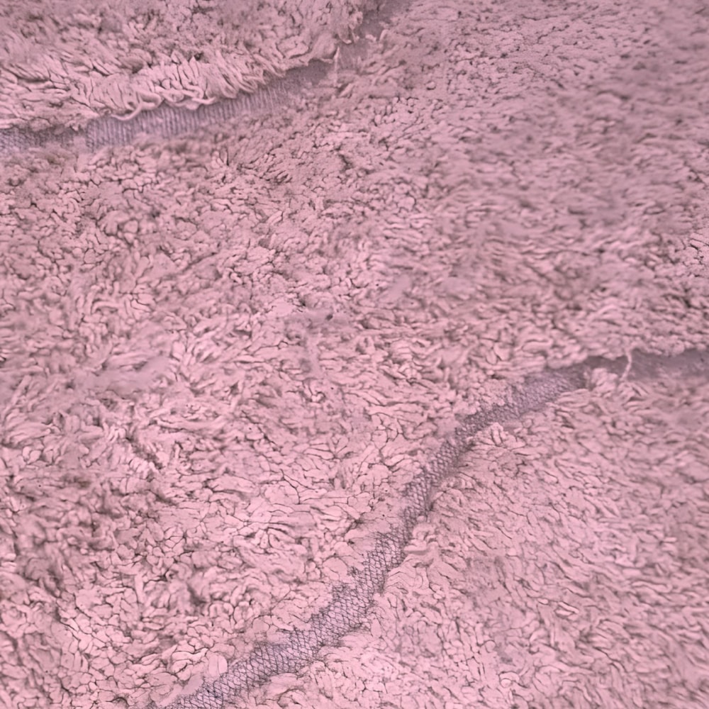 image_ce3bb1e4-b4b7-43b7-89b3-e4c350ee6b9c