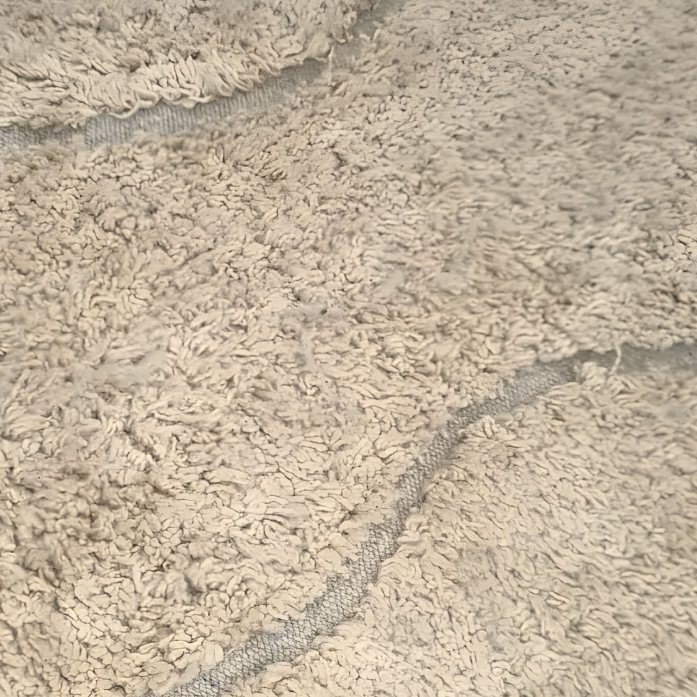 image_df70f310-cb73-4d7a-997f-fccc4426f7db