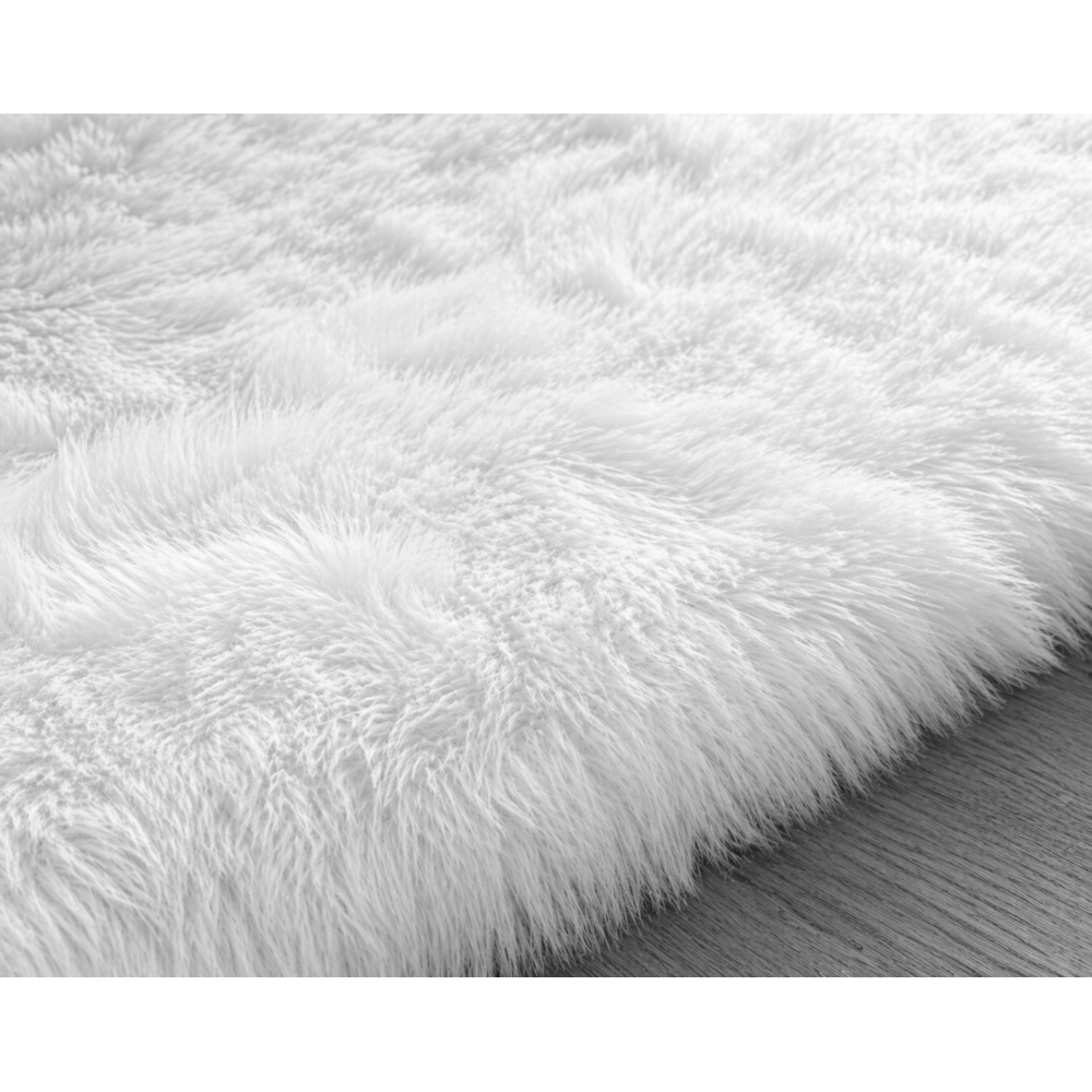 image_26a84653-f3cf-4815-9300-da8f62942fb7