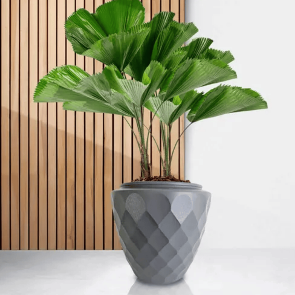 image_421e61b2-42da-4d10-9b84-101af8658db2