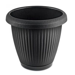 Imagem de Produto